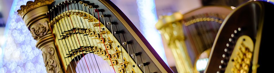 Harp