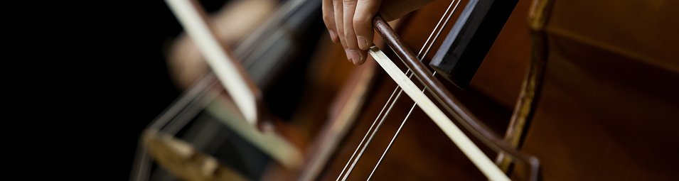 Double Bass
