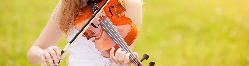 Viola