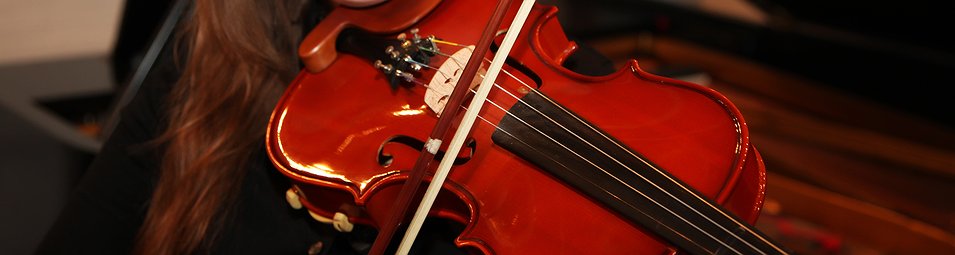 Violin
