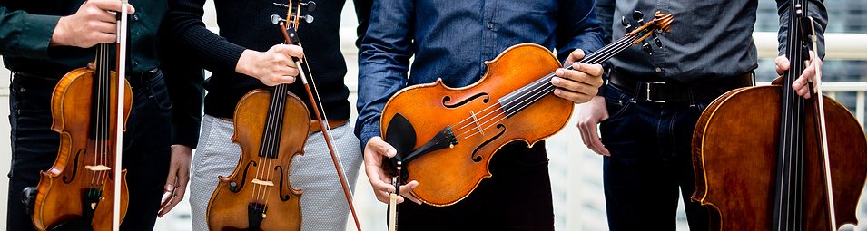 String Initiative (Chamber Music Program)